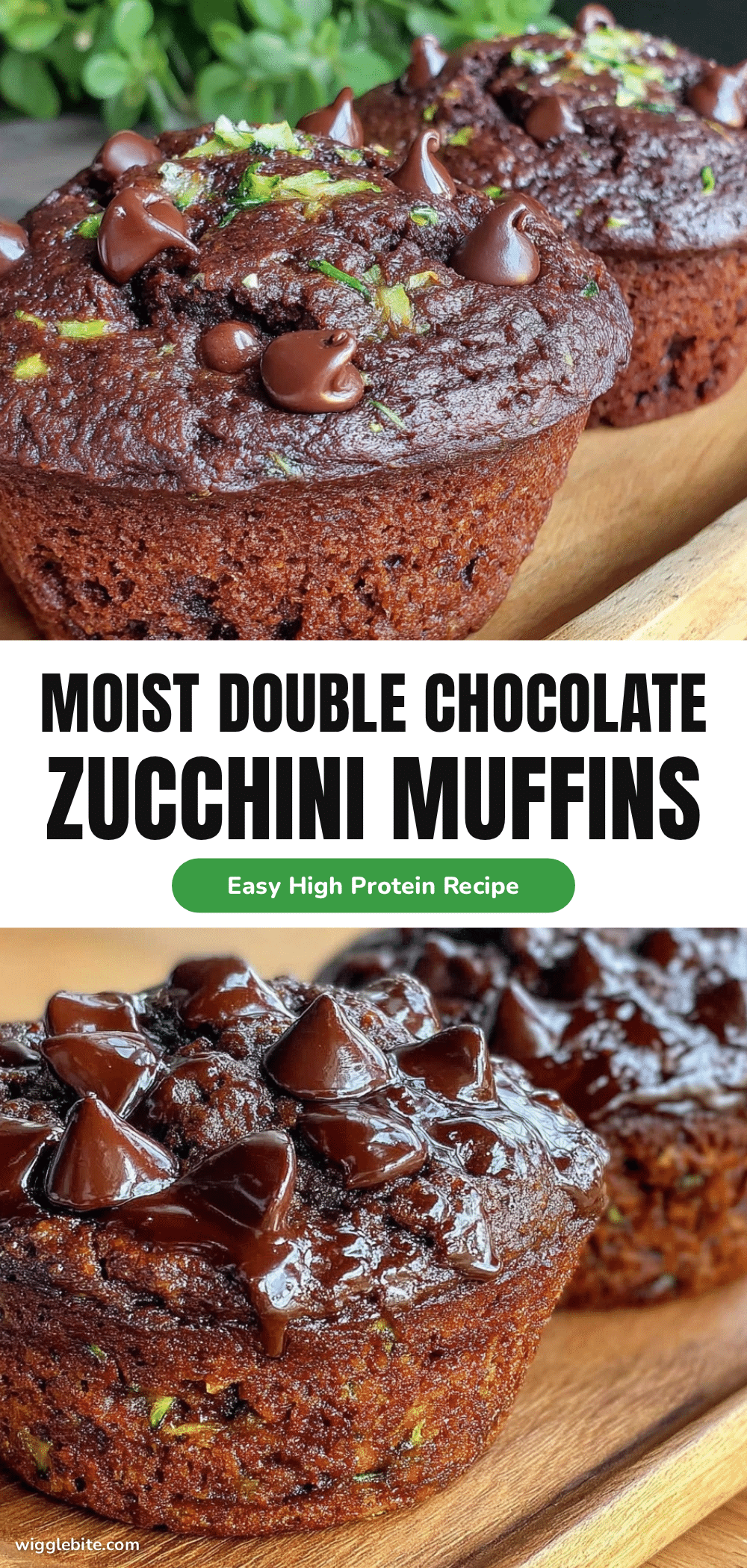 moist double chocolate zucchini muffins recipe