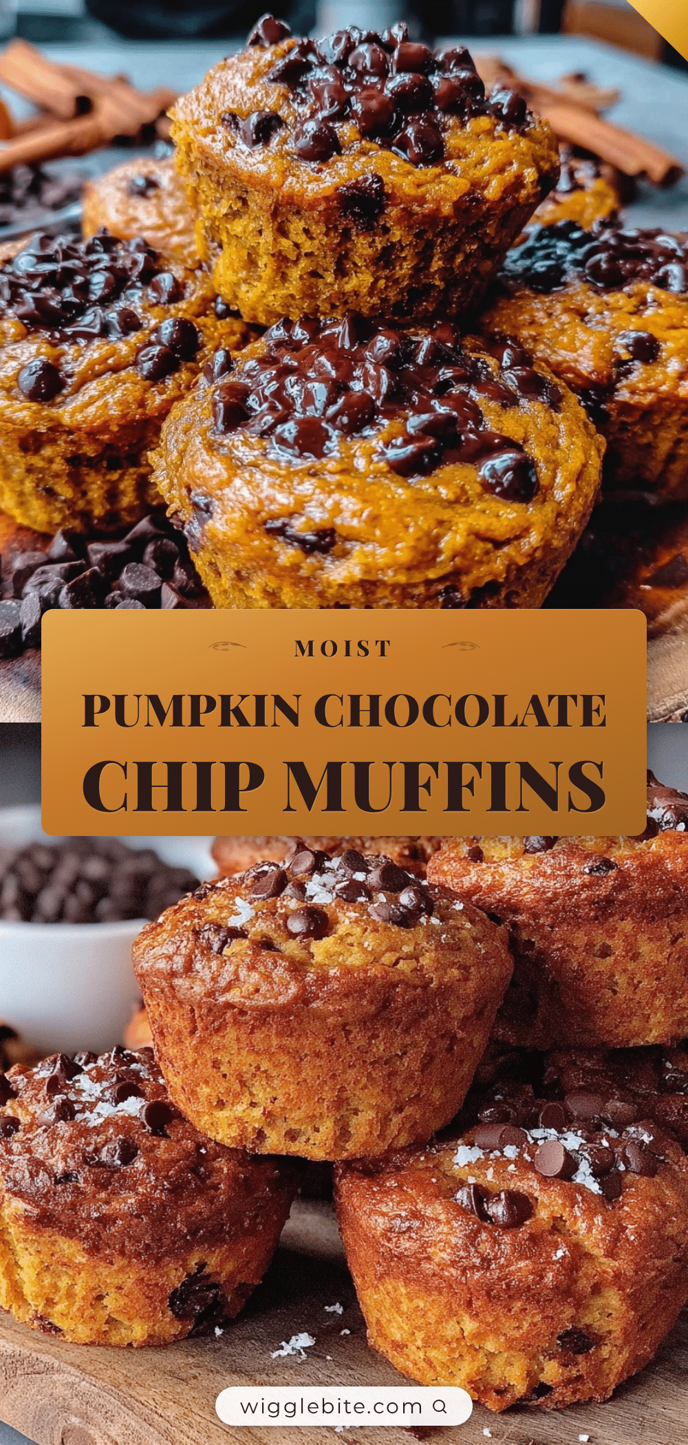 pumpkin chocolate chip muffins recipe