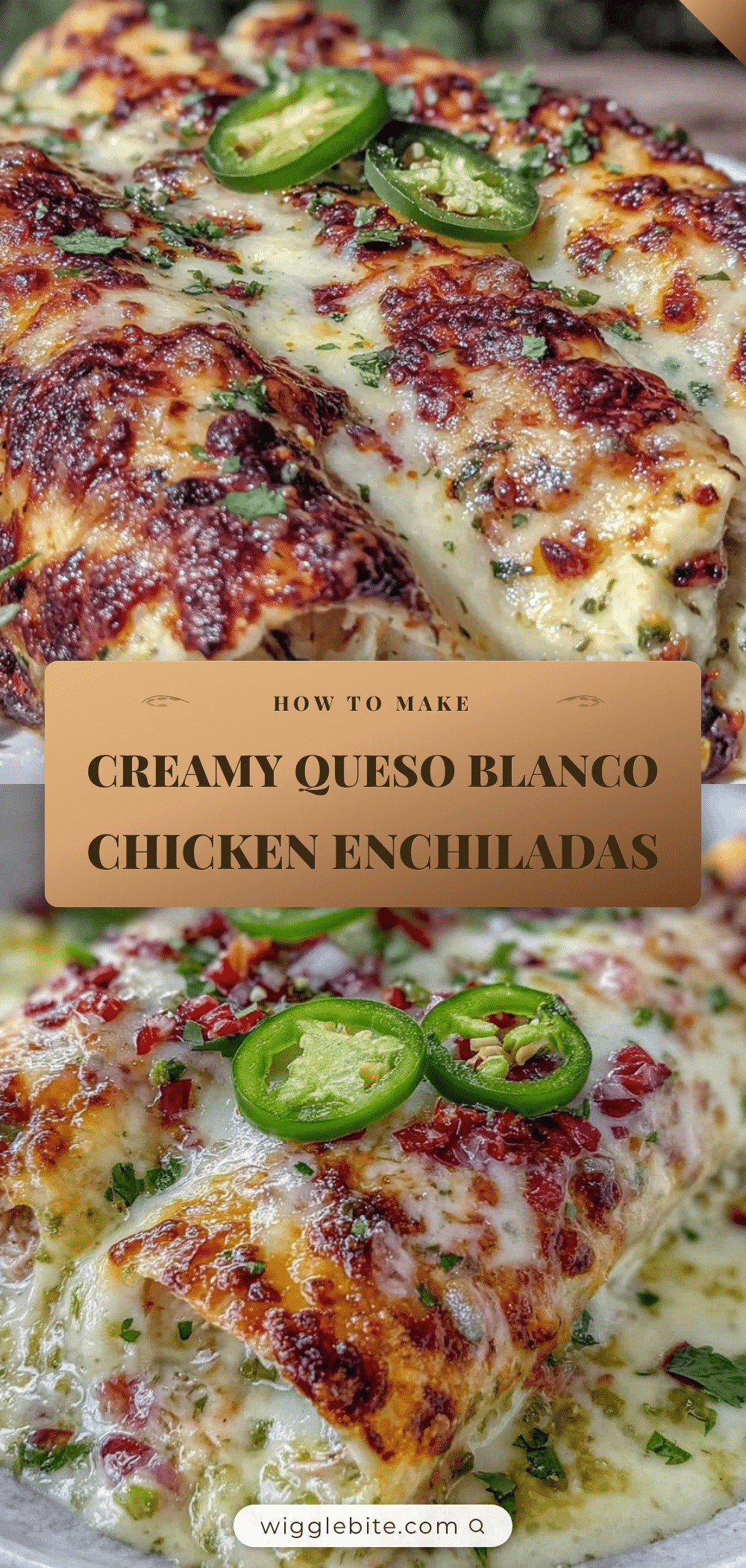 queso blanco chicken enchiladas recipe