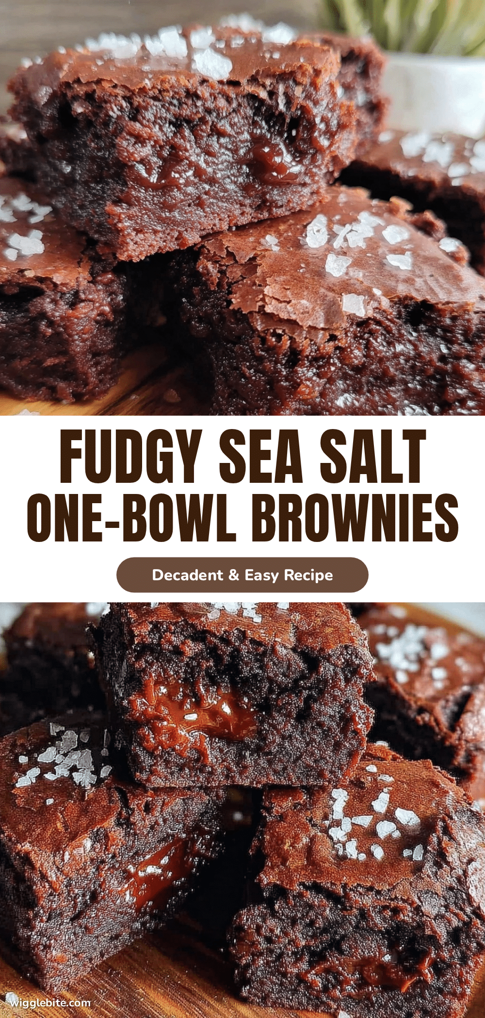 fudgy one-bowl brownies with sea salt recipe
