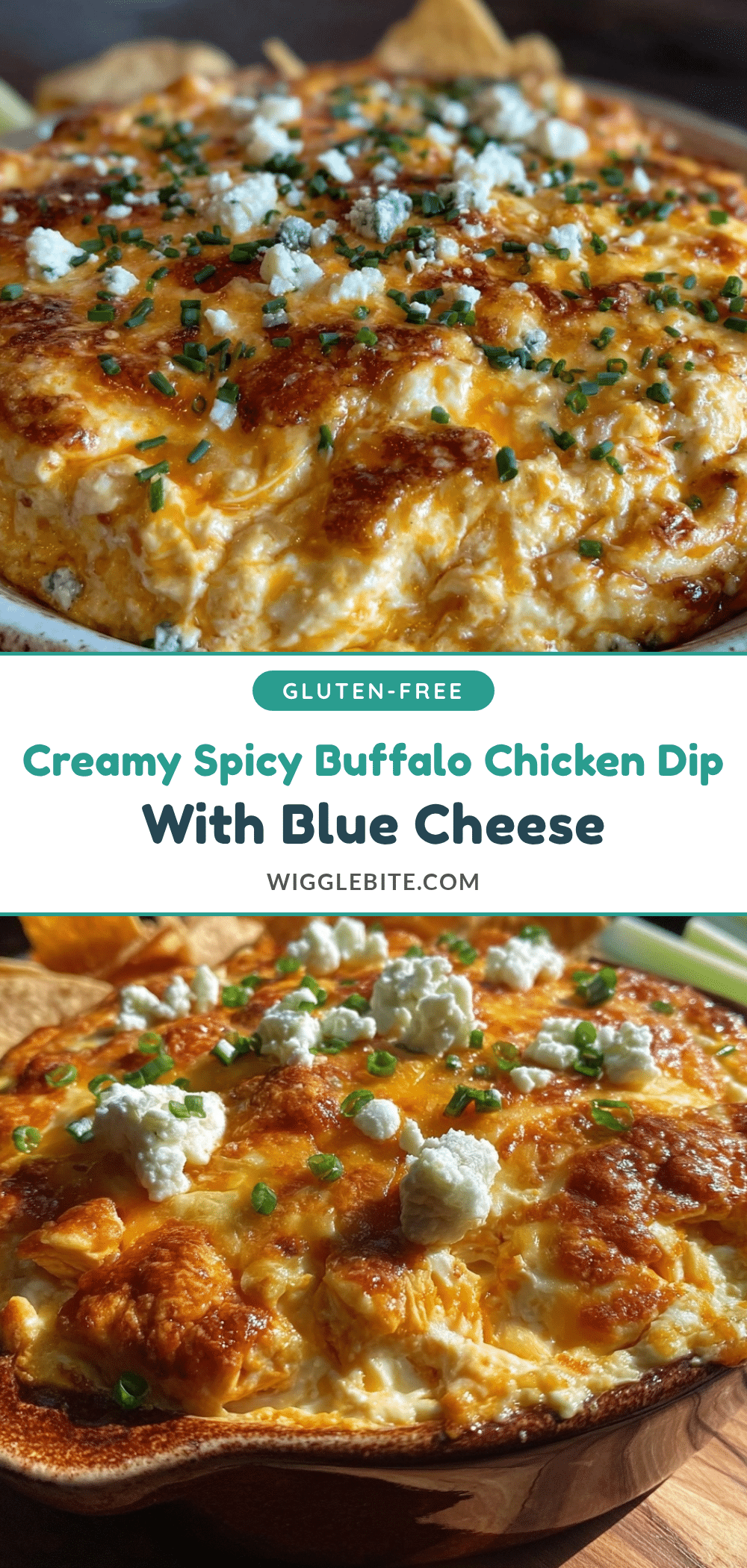 creamy buffalo chicken dip recipe