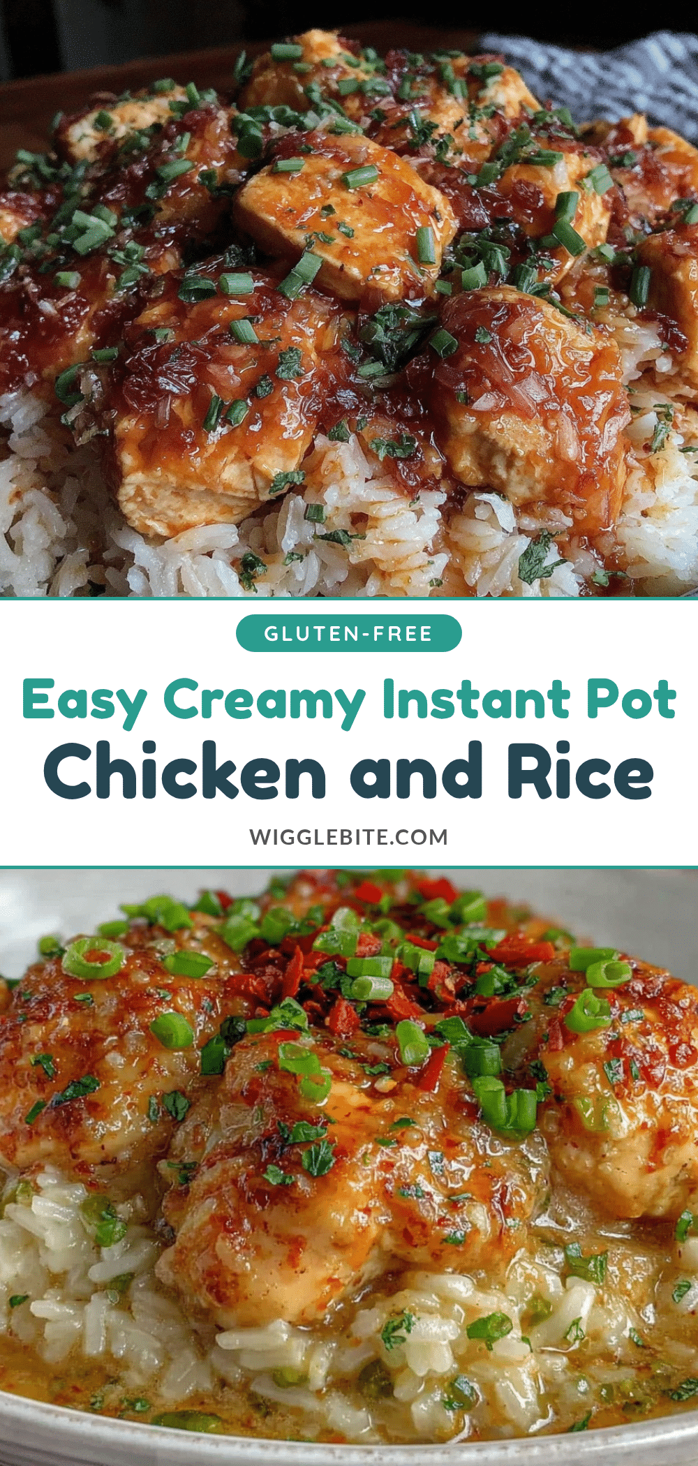 instant pot chicken and rice recipe